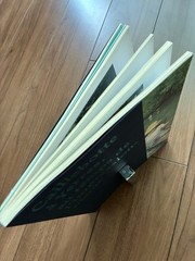 Gustave Caillebotte Art Book YERRES 22x28cm 168 Pages Softcover 2014