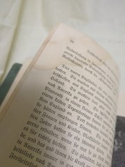 1924 German Immigrant Guide Book DAR Taschenbuch Vereinigten Staaten