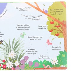 100 First Facts: Picture Book By Sweet Cherry Publishing – Ages 5-7 – Board Book