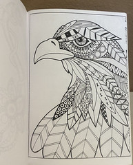 Bendon Adult Coloring Book Coloring Birds 14 Tear and Share Pages NEW