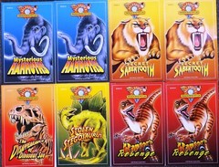 Lot of 8: PaleoJoe Dinosaur Detective Club Wendy Caszatt-Allen and PaleoJoe