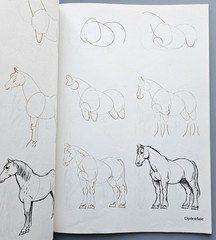 Draw 50 Animals Books Lot Lee J Ames Horses Cats Dogs Step-by-Step Drawing