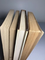 RICHARD BRAUTIGAN Lot 4 Books: Hawkline…PB Willard…HC Sombrero…PB Tokyo…PB