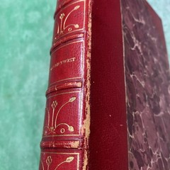 Oliver Twist – Dickens’ Works – [Leather Bound] – 1900 Charles Dickens – Rare
