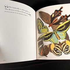 Botanicals : Butterflies and Insects by Leslie K. Overstreet (2008, Hardcover)