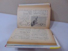 JAPANESE PRINT BOOK MAGAZINE SHUFU NO TOMO JAPAN FLOWER ARANGMENTS RARE VINTAGE