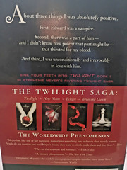 Twilight: Stephenie Meyer (English Edition) by Stephenie Meyer