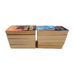 Lot of 22 Carpathian/Christine Feehan Books 1- 9.5 & 12-21 /25/31/33