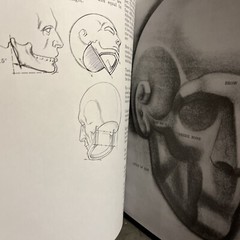 Drawing the Human Head by Burne Hogarth (1989, Library Binding) HB New