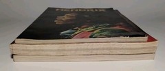 JIMI HENDRIX A Biography by Chris Welch / Janis Joplin and Rolling Stones A to Z