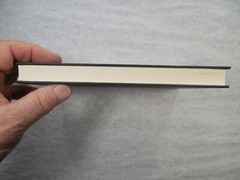 The Madonnas of Echo Park: A Novel by Brando Skyhorse, 2010, 1st Ed & Pr, SIGNED