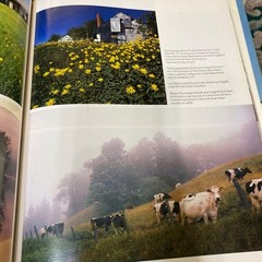England Photo Album 1985 Hardcover 72 Pages Vintage 11.8×9.3in