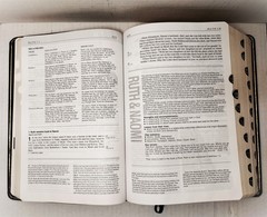 NIV Life Application Study Bible (Genuine Leather, Thumb Indexed, Gilt Edges)