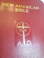 Saint Joseph Ed New American Bible LARGE TYPE Catholic Burgundy Leather 1986 NAB