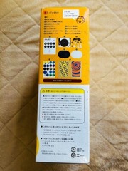 Toy Record Maker Kit Gakken Adult Science Japan Magazine Book Cutting Art Japan