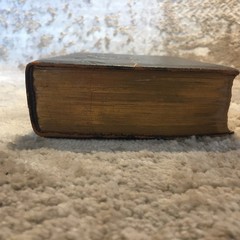 The Cambridge Book of Poetry and Song Bates 1887 Illustrated Poetry Book