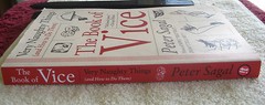 The Book of Vice Very Naughty Things and How to do Them by Peter Sagal PB 2008