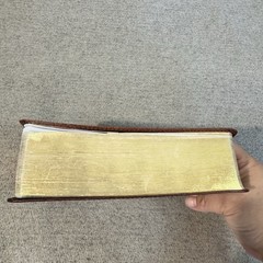 New Living Translation Study Bible Personal Size Edition Leatherlike Brown