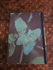 Waddad’s Kitchen Lebanese Zest Southern Best Cookbook 1982 By Waddad Buttross