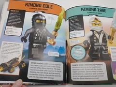 Lot of 3 LEGO Ninjago and Star Wars Children’s Books Disney DK