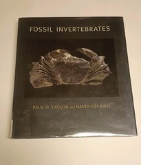 Fossil Invertebrates HC DJ Taylor, Paul D. and Lewis, David N. Harvard Universit