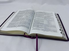 Companion Bible: King James Version, Burgundy, Bonded Leather FAST SHIP!!!
