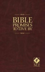 Bible Promises to Live By – Paperback By Beers, Ronald A. – ACCEPTABLE
