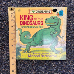 Dinosaur lot 10 book set, Fiction/nonfiction mix, Dino Tyrannosaurus Stegosaurus