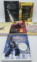 Lot of 6 Square Fish Paperback Books: Wrinkle in Time The Silver Branch Young Fu