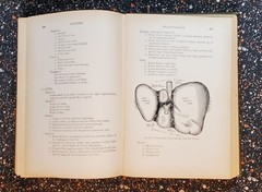 Medicine And The Allied Sciences, Samuel Fomon, Volume 1, 1919, Hardcover
