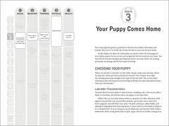 Your Labrador Retriever Puppy Month by Month, 2nd Edition: Eve…