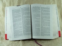 The Everyday Life Bible Power of God’s Word for Everyday Joyce Meyer with defect