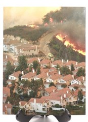 Firestorm 2003 San Diego Union Tribune Cedar Paradise Fire Wildfire Photos