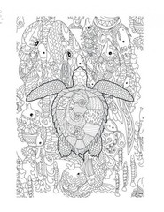 Turtles Coloring Book Save the Planet 108 Pages 8.5 x 11 for All Ages by JKL