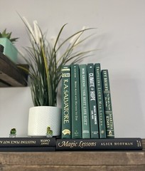 Stack of 6 colorful books for Decoration | Book Decor| Decorative Book set.
