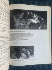 Raiders of the Lost Ark : The Illustrated Screenplay (1st Ed)
