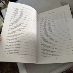 Have You Heard the Good News? Cycle C: Reflections on the Sunday Gospels