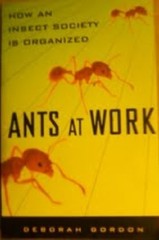 ANTS AT WORK By Deborah Gordon *Excellent Condition*