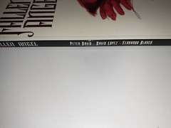 DC Fallen Angels Down To Earth Book 2 Unread New TPB 9.4 FREE SHIPPING