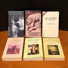 14 Classics Bundle: Frankenstein, Call of the Wild, Catcher in the Rye, more