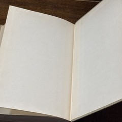 INDIANA IN THE CIVAL WAR ERA 1850-1880 By: Emma Lou Thornbrough Vol. III HB 1965
