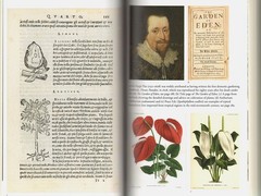 GOOD NATURE-How Plants Are Good For Health/by Willis/Forests/Parks/NEW/HB/DJ/Ill