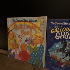 Berenstain Bears Book Lot Or 4