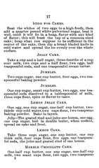 1893 The Worlds Fair Recipe Cook Book 119 Pages