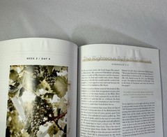 Even If a study of Habakkuk by The Daily Grace Co. Book Kristin Schmucker