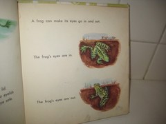 What is a Frog/ 1957/ Gene Darby/ Hawkinson/ Benefic Press