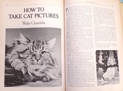 „Cat Catalog”, The Ultimate Cat Book, Large „Very Good” 1st Ed. Book, 352 pages