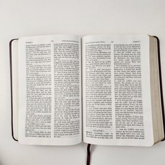 Jack Van Impe Prophecy Bible KJV Burgundy Bonded Leather ISBN 1-884137-88-1