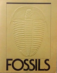 FOSSILS MAGAZINE. VOLUME ONE, ISSUE ONE MAY, 1976