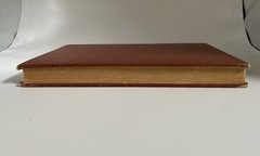 RARE Antique DeLoup American Salad Book 4th Edition Revised, pub. Doubleday 1919